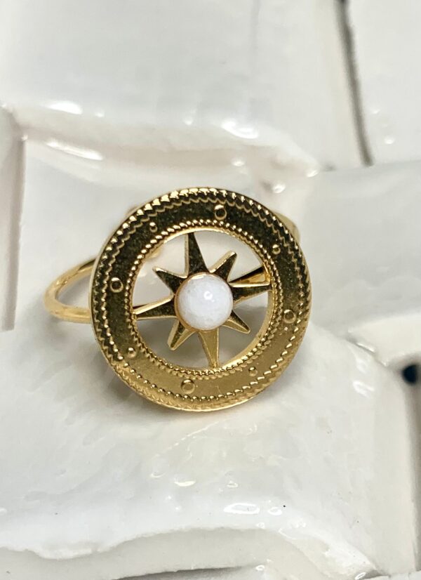 Anillo de acero regulable